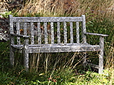 Bench in Maine