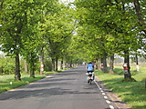 Avenue in Poland