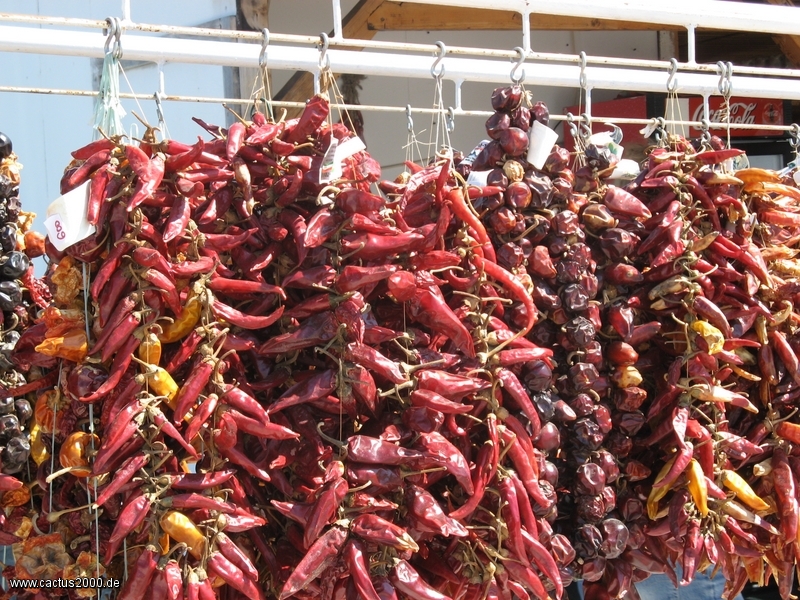 Dried pepper garlands
