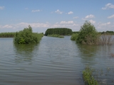 Tisza river